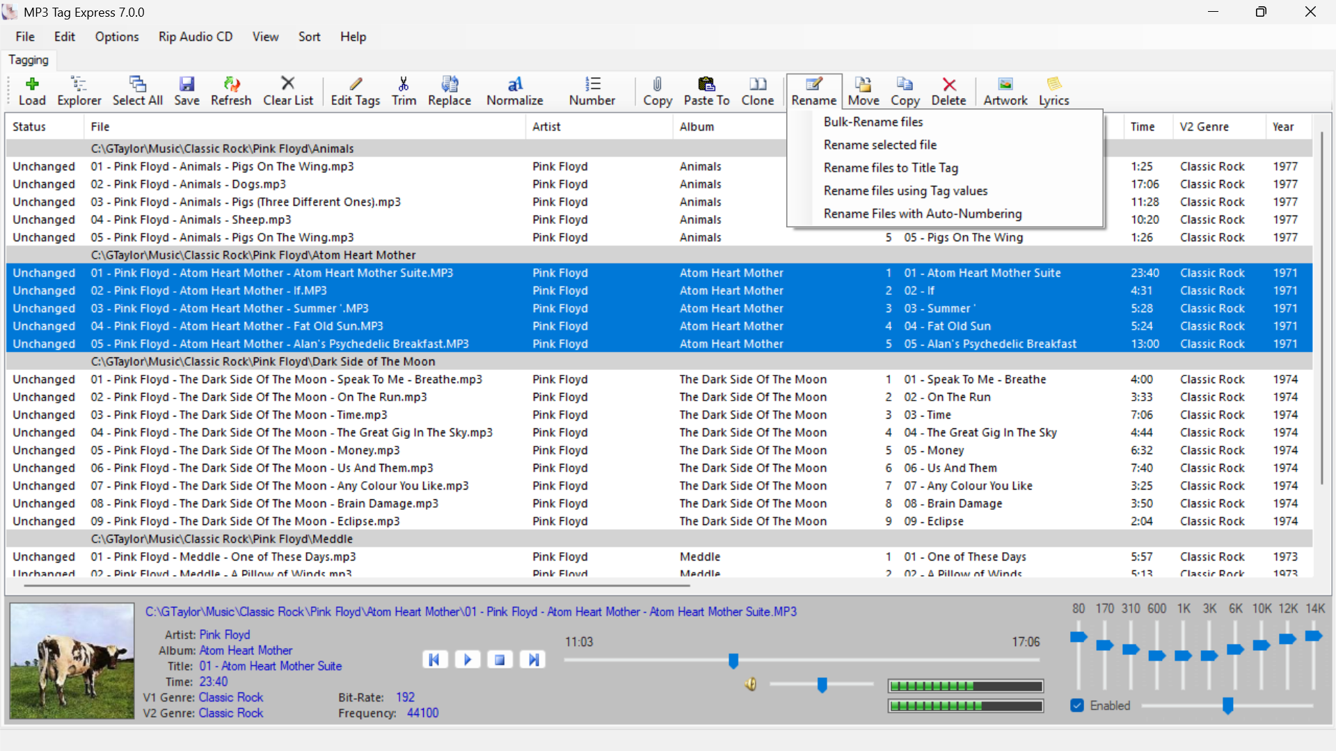 Bulk-Rename Files