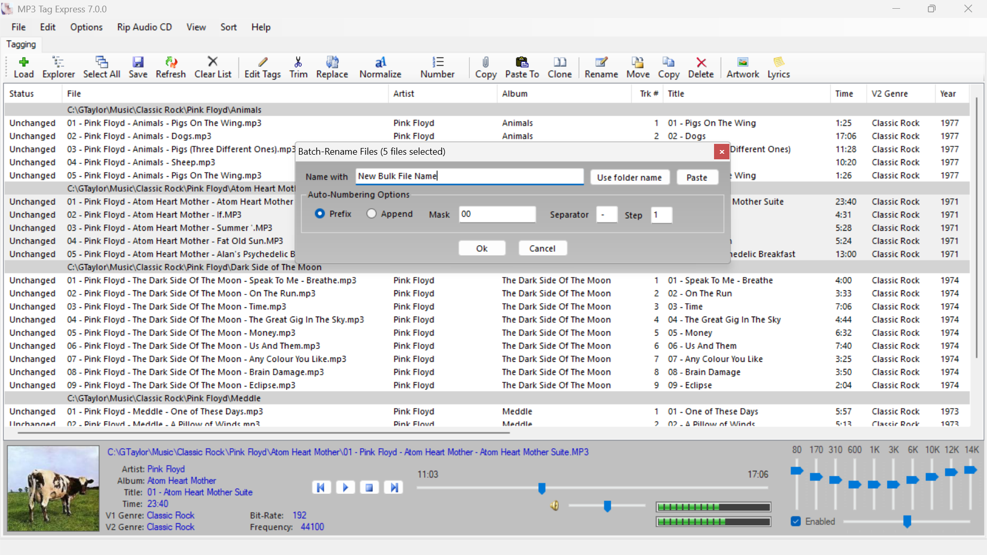 Batch-Rename Files