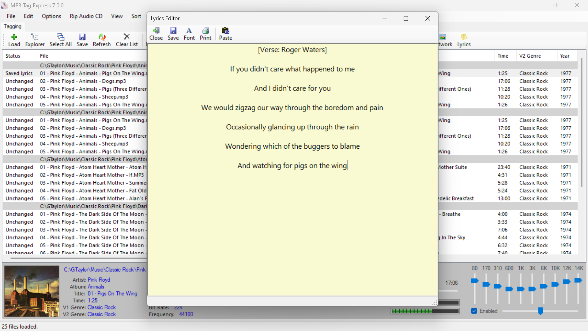 MP3 Tag Express tag editing interface