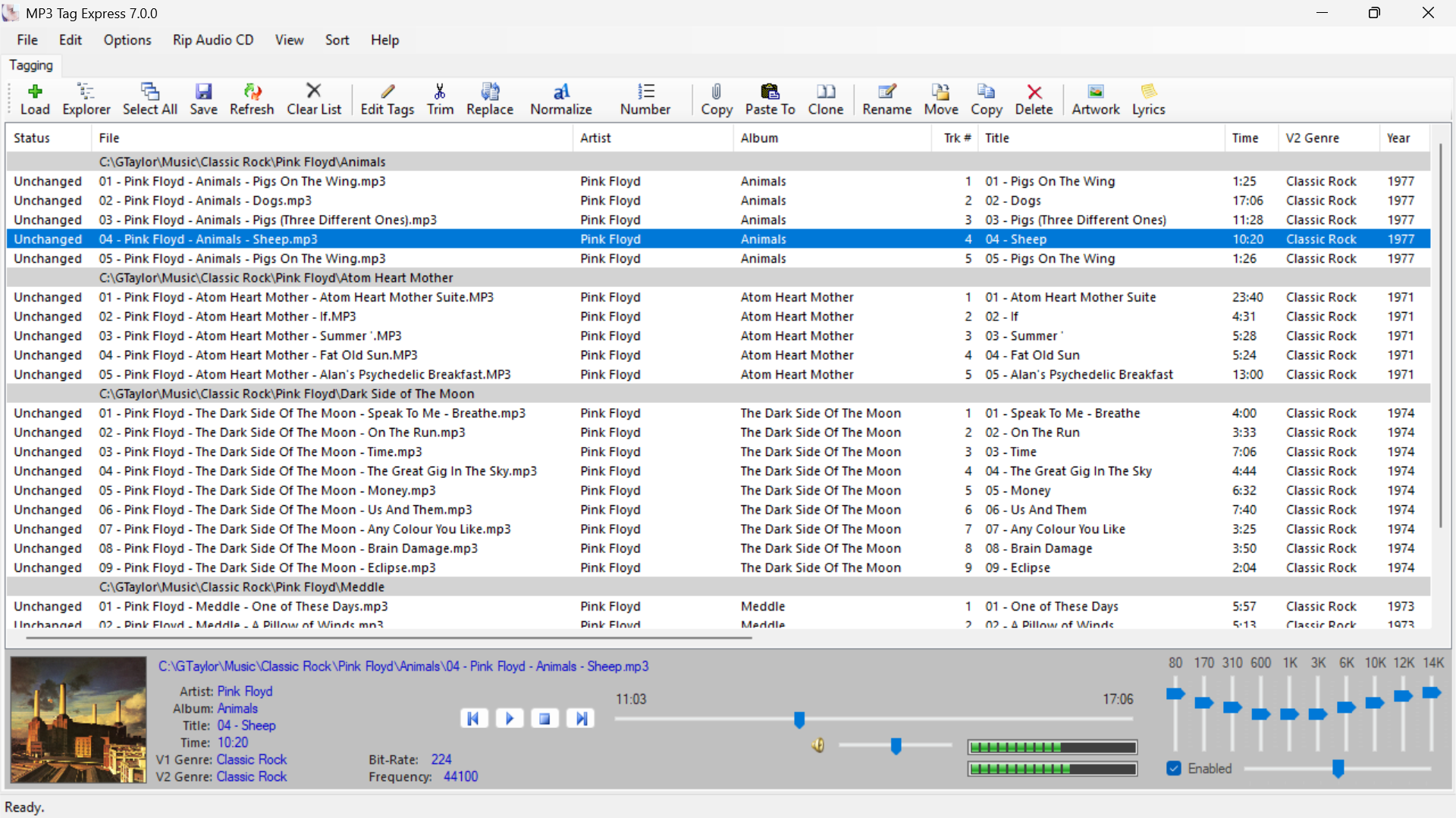 Built-in Audio Player